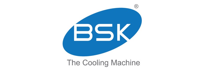 BSK Desert Air Cooler